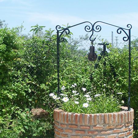 Casa Rural El Rincon Carcabuey ภายนอก รูปภาพ