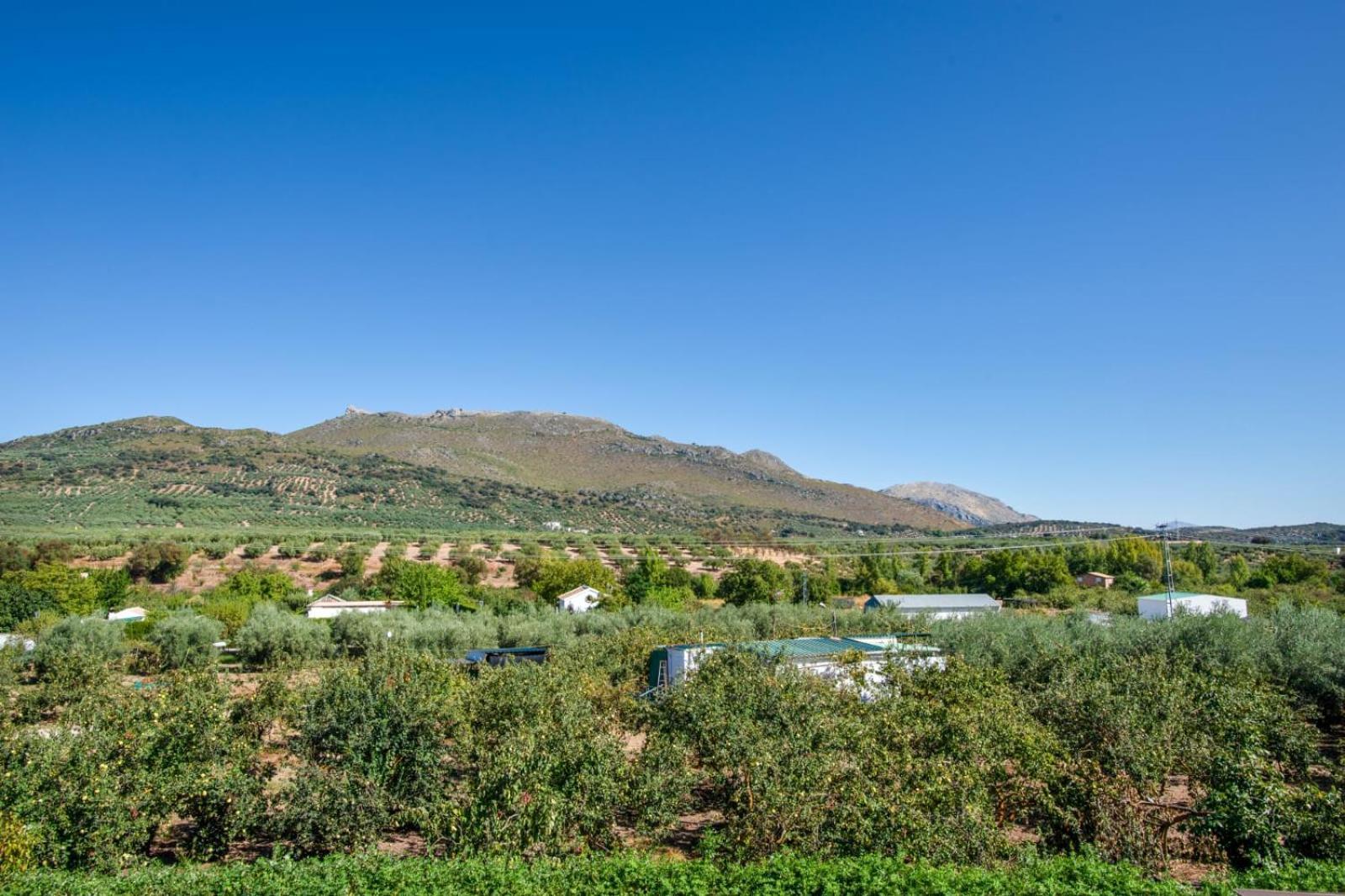 Casa Rural El Rincon Carcabuey ภายนอก รูปภาพ